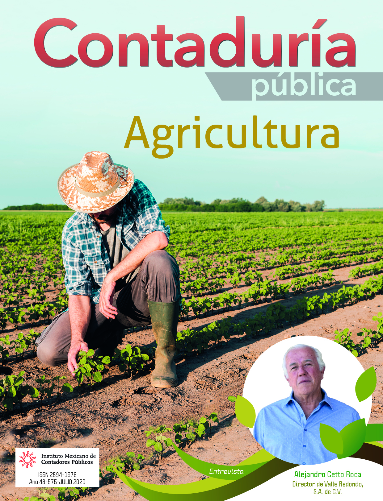 Revista Contaduría Pública Julio 2020 - Revista Contaduría Pública : IMCP |  Una publicación del IMCP